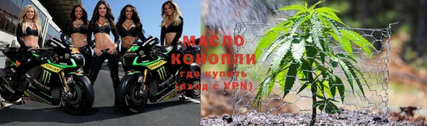крисы Абаза
